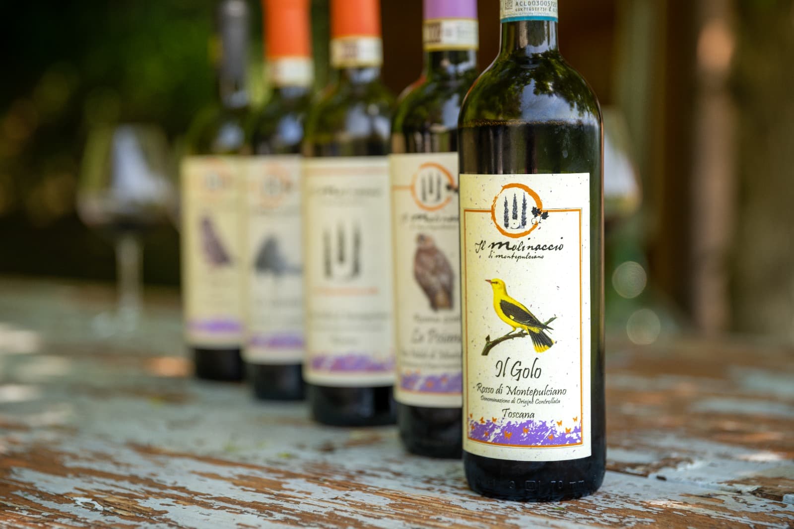 Degustazione di vini al Molinaccio di Montepulciano