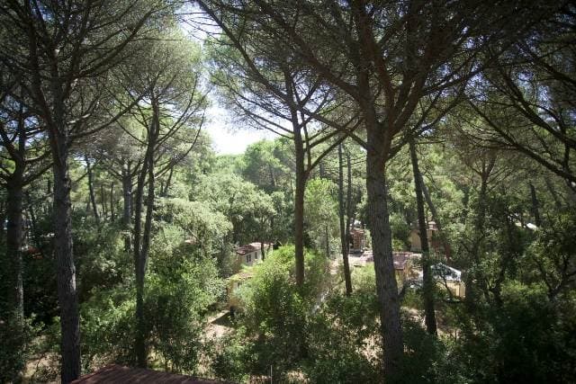 PuntAla Camp & Resort lungo la costa Tirrenica Toscana