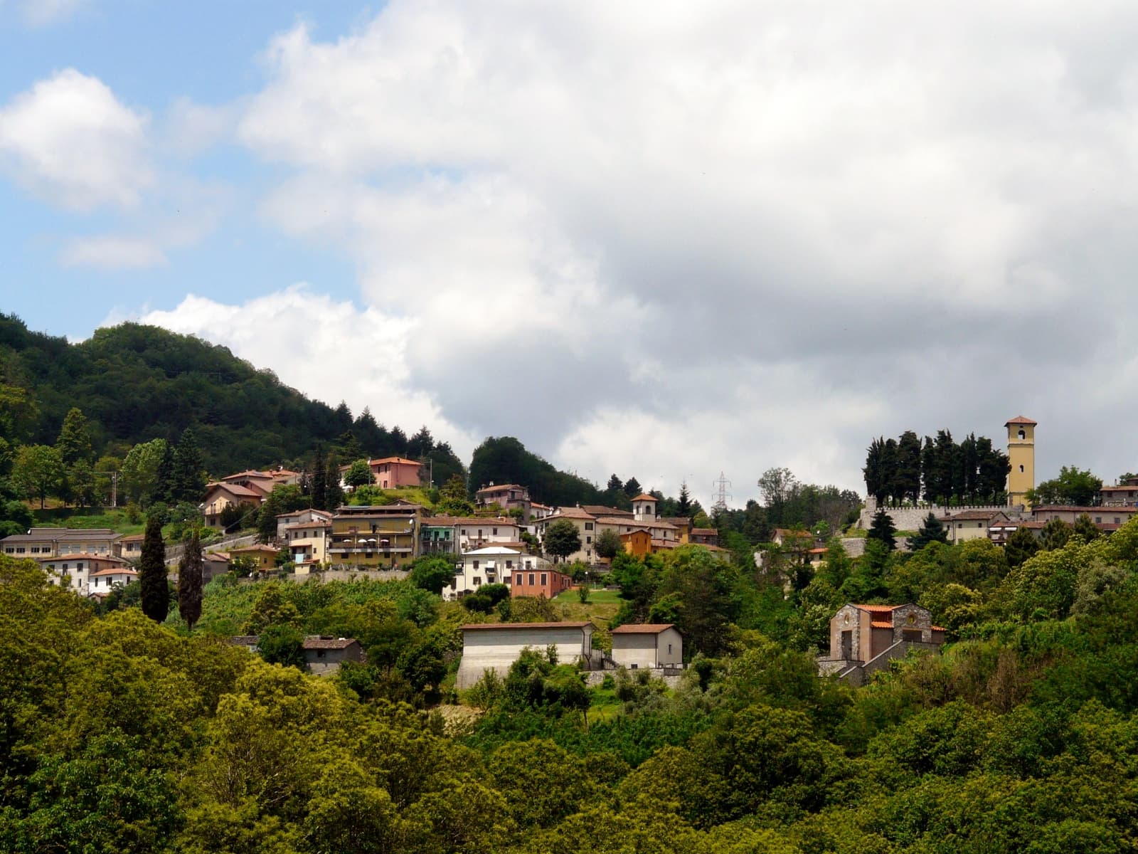 molazzana-davide-papalini