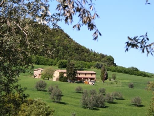 SAN CARLO