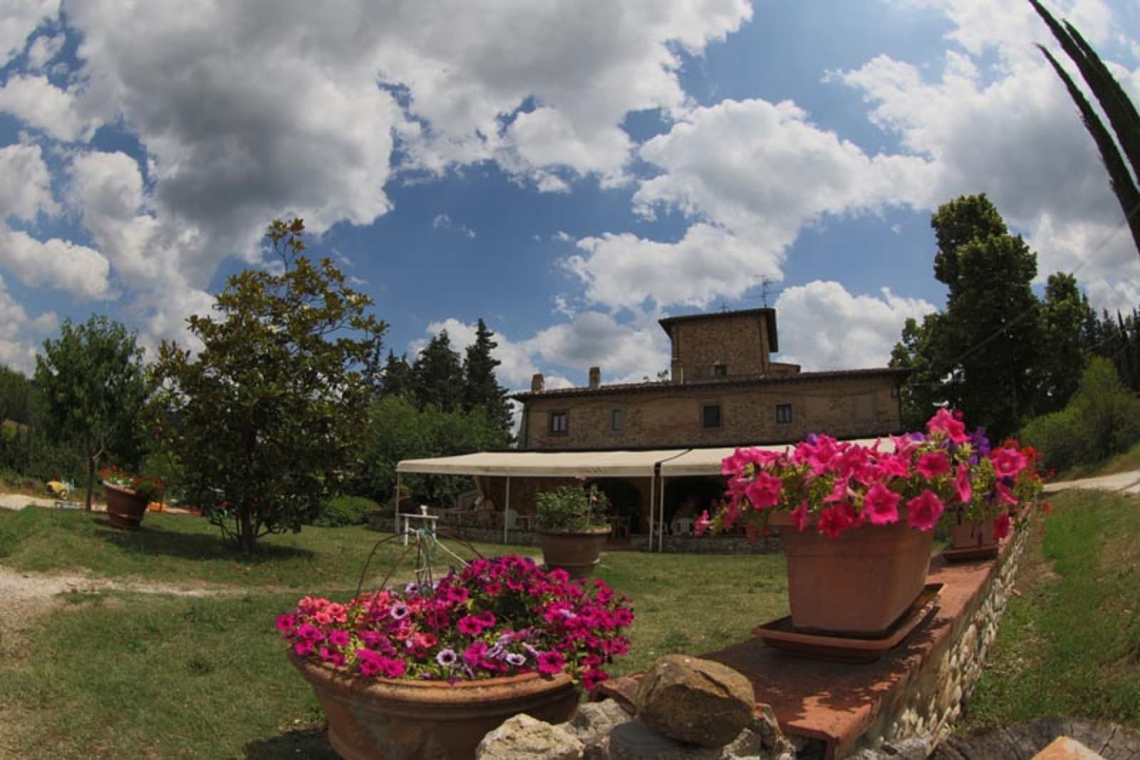 FATTORIA LA TANCIA