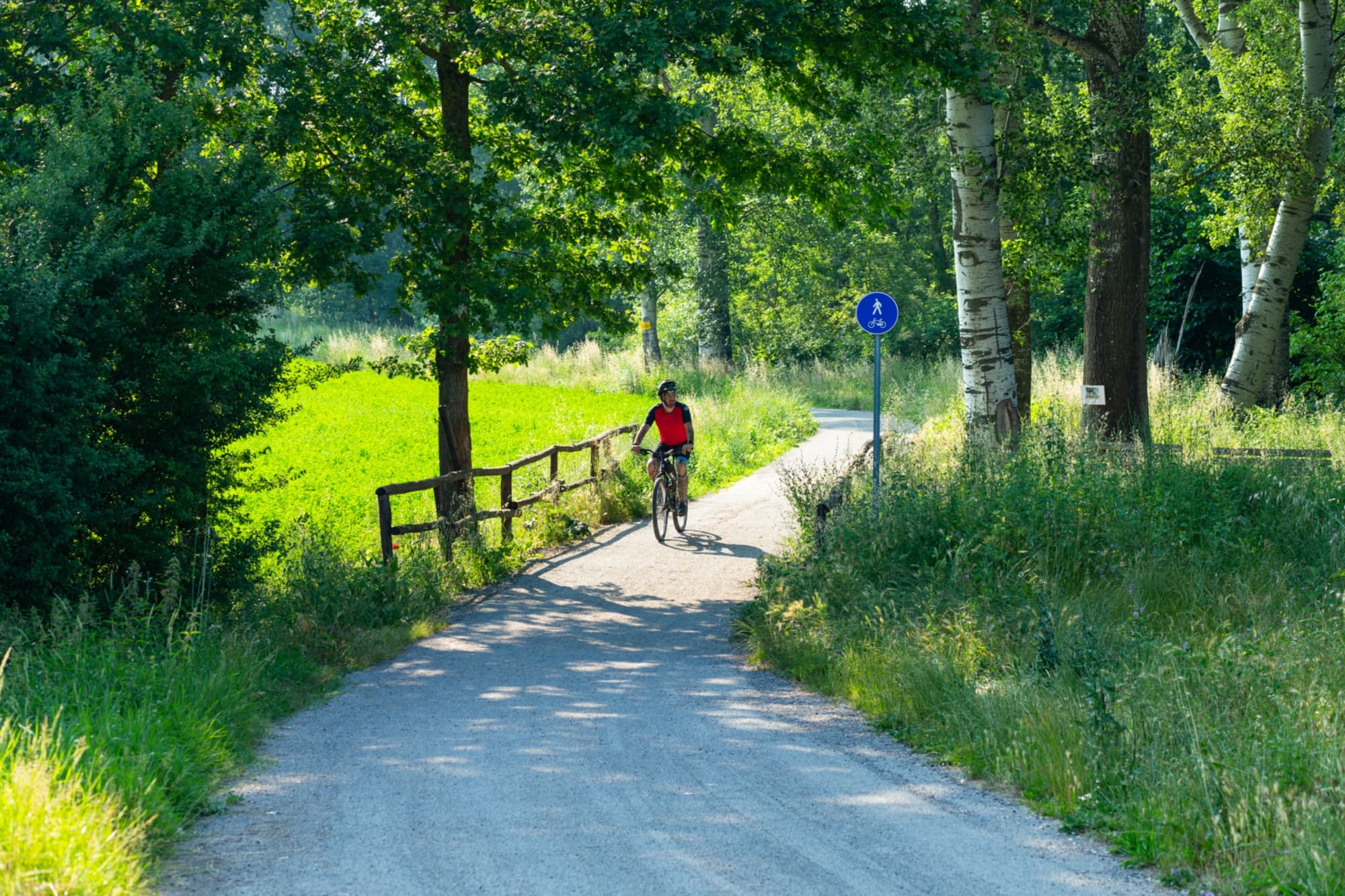 Mit dem Fahrrad auf dem Ökotourismusweg „Sieve Borgo San Lorenzo“