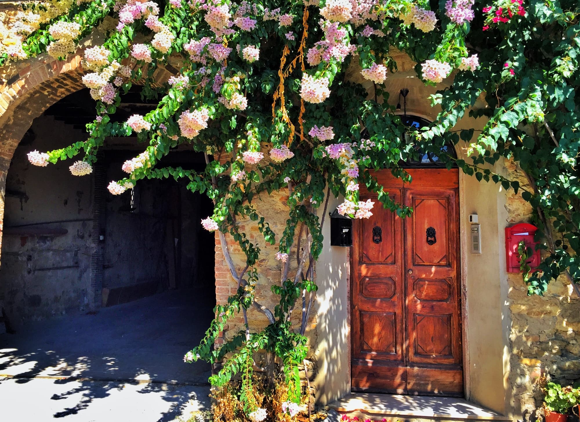 suvereto-door