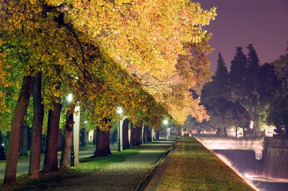 The walls of Lucca