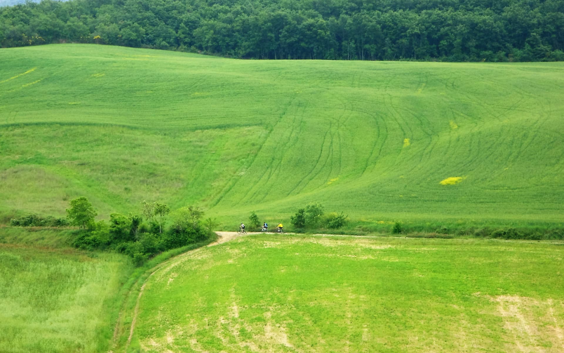 routes de campagne près de Cinigiano