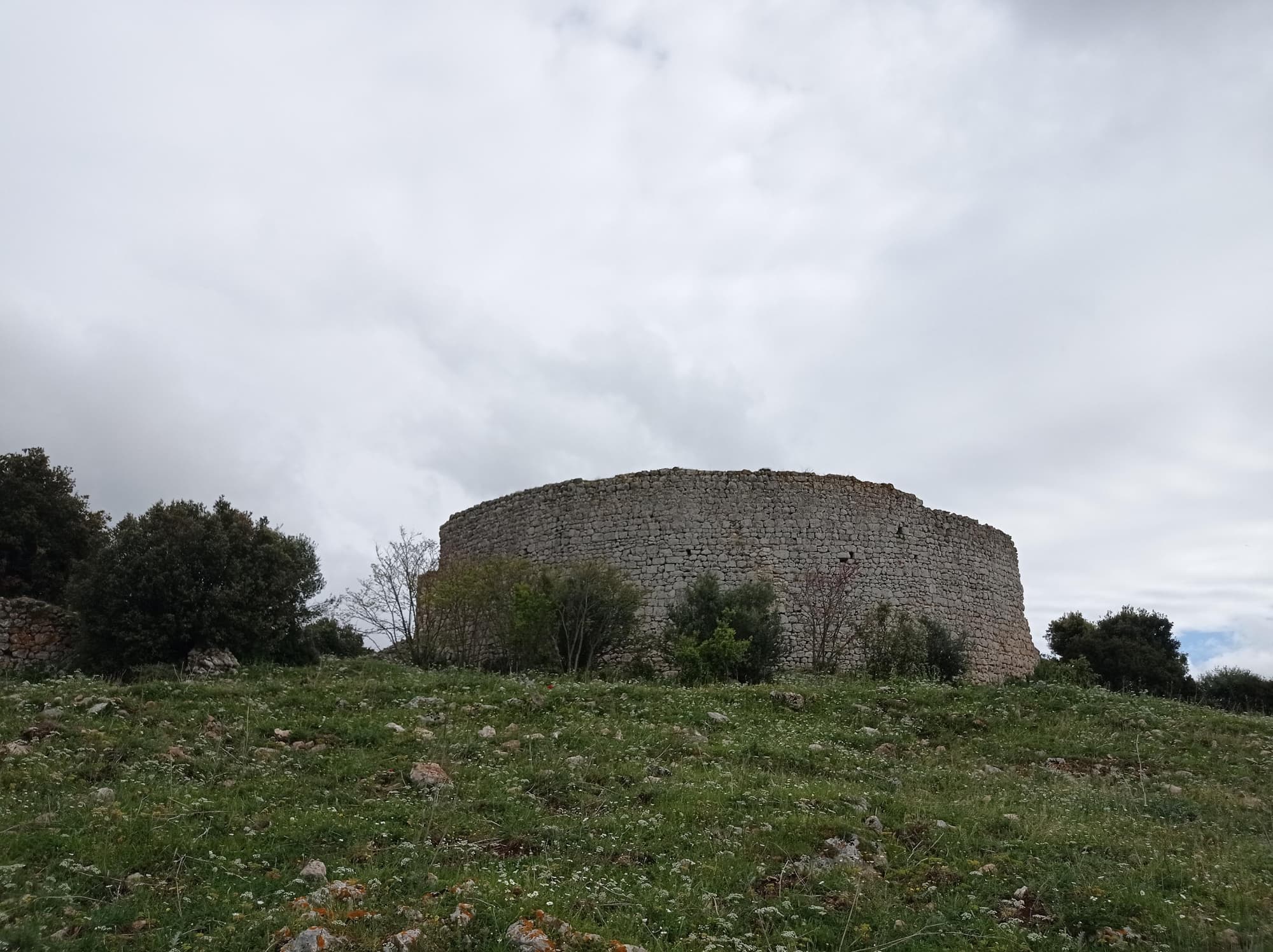 tino-di-moscona_umw.jpg