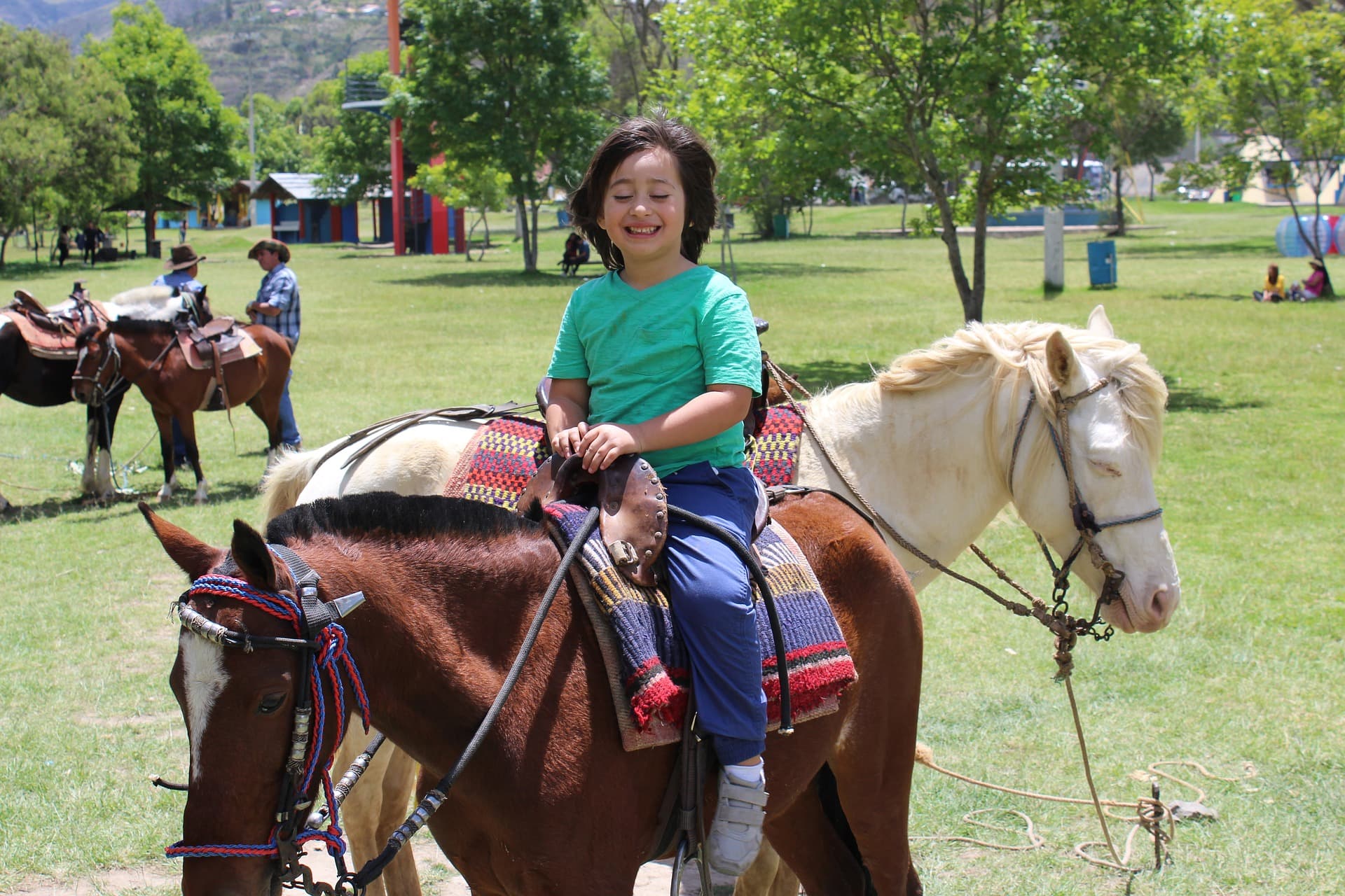 Horseback rides for the whole family