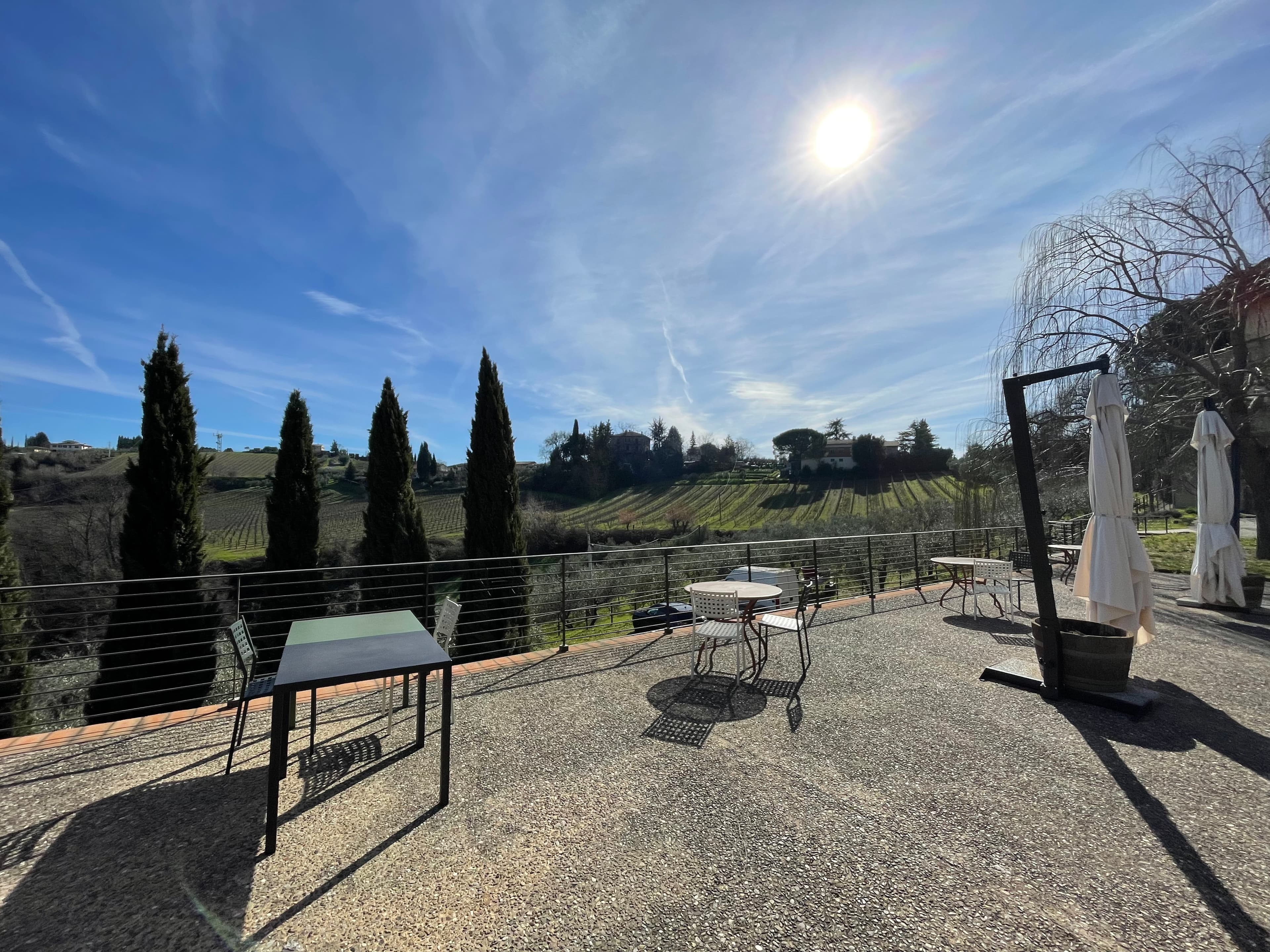 San Gimignano:  guided visit and tasting