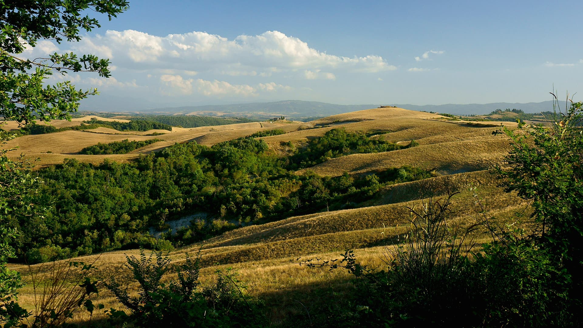 Paesaggio a Monteroni d'Arbia