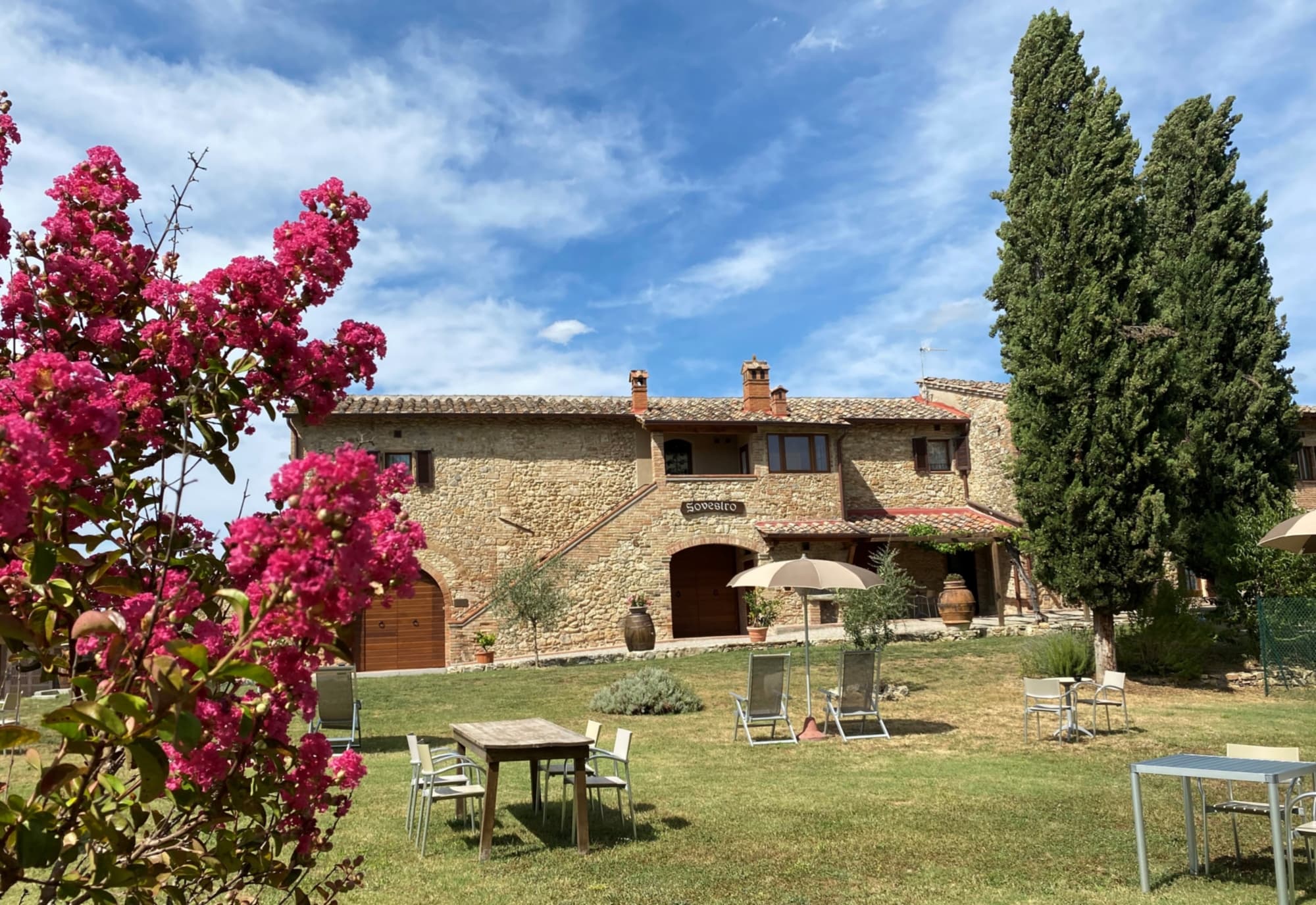 The garden equipped with tables and chairs on the lawn