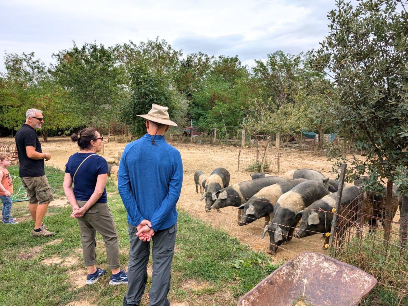 Visita di una fattoria Montepulciano
