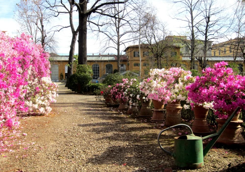 Der Botanische Garten "Giardino dei Semplici" in Florenz
