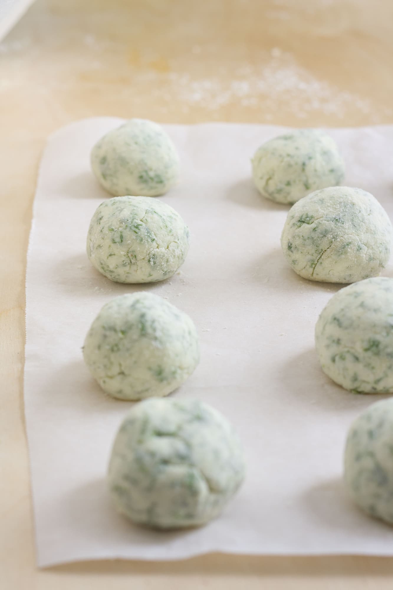 Gnudi