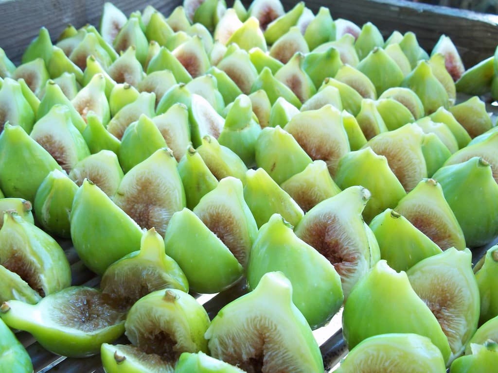 fichi carmignano