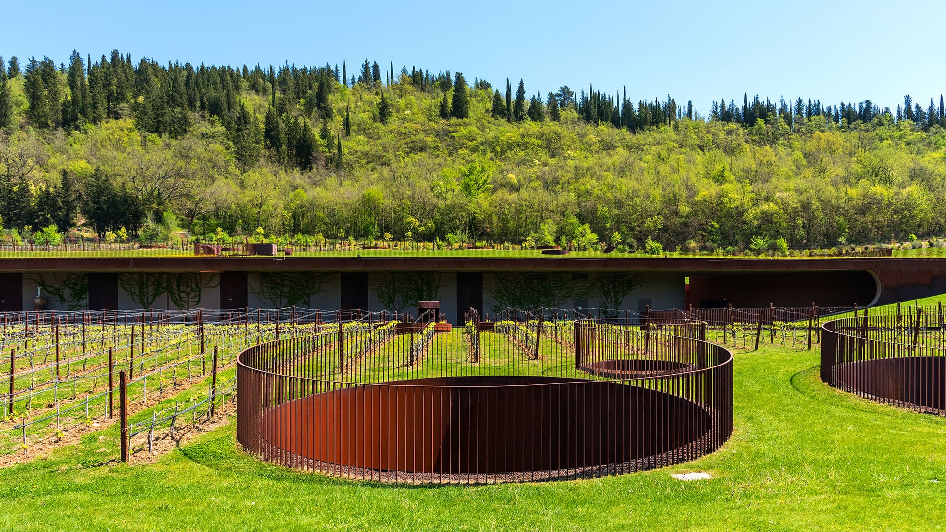 Tour Chianti Classico con degustazioni e pranzo alla cantina Antinori