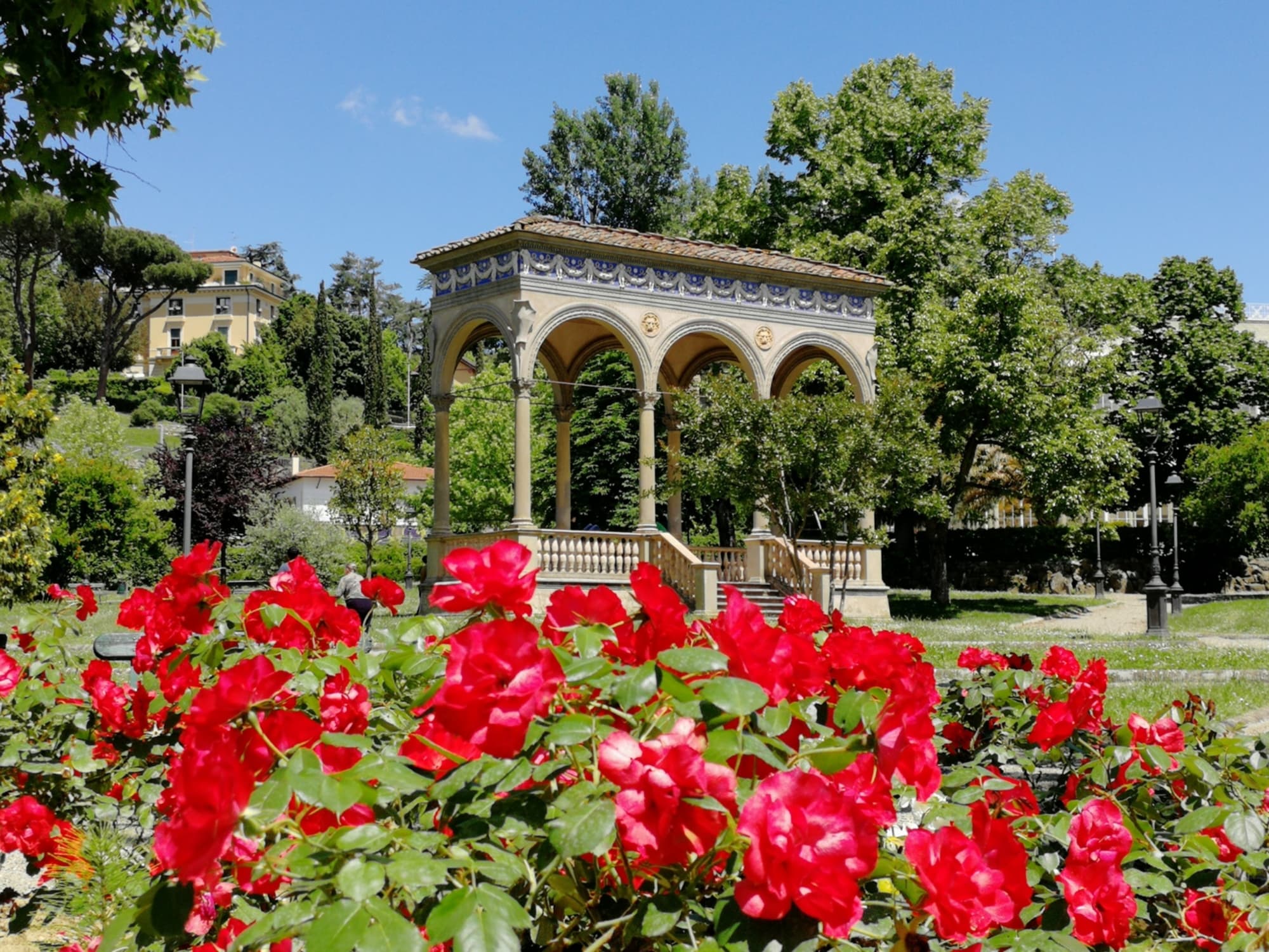 A spring day in the garden