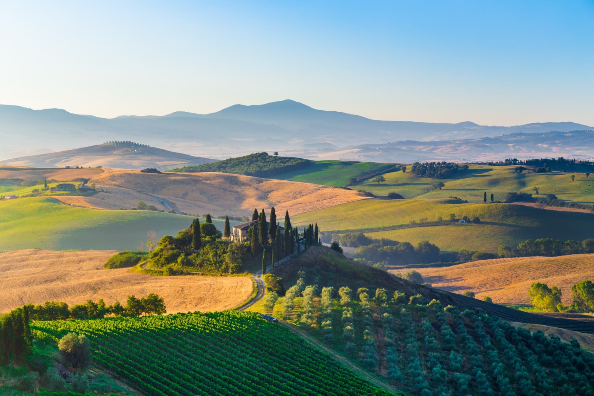 Panoramablick auf die Hügellandschaft des Val d'Orcia