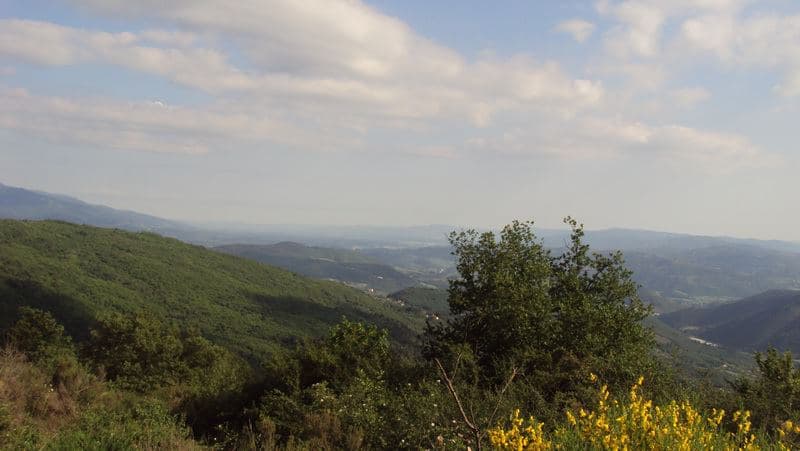 area-protetta-pontassieve