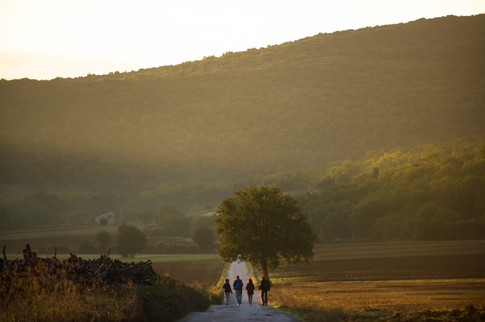 Via Francigena Toscana: tappa Abbadia a isola - Monteriggioni