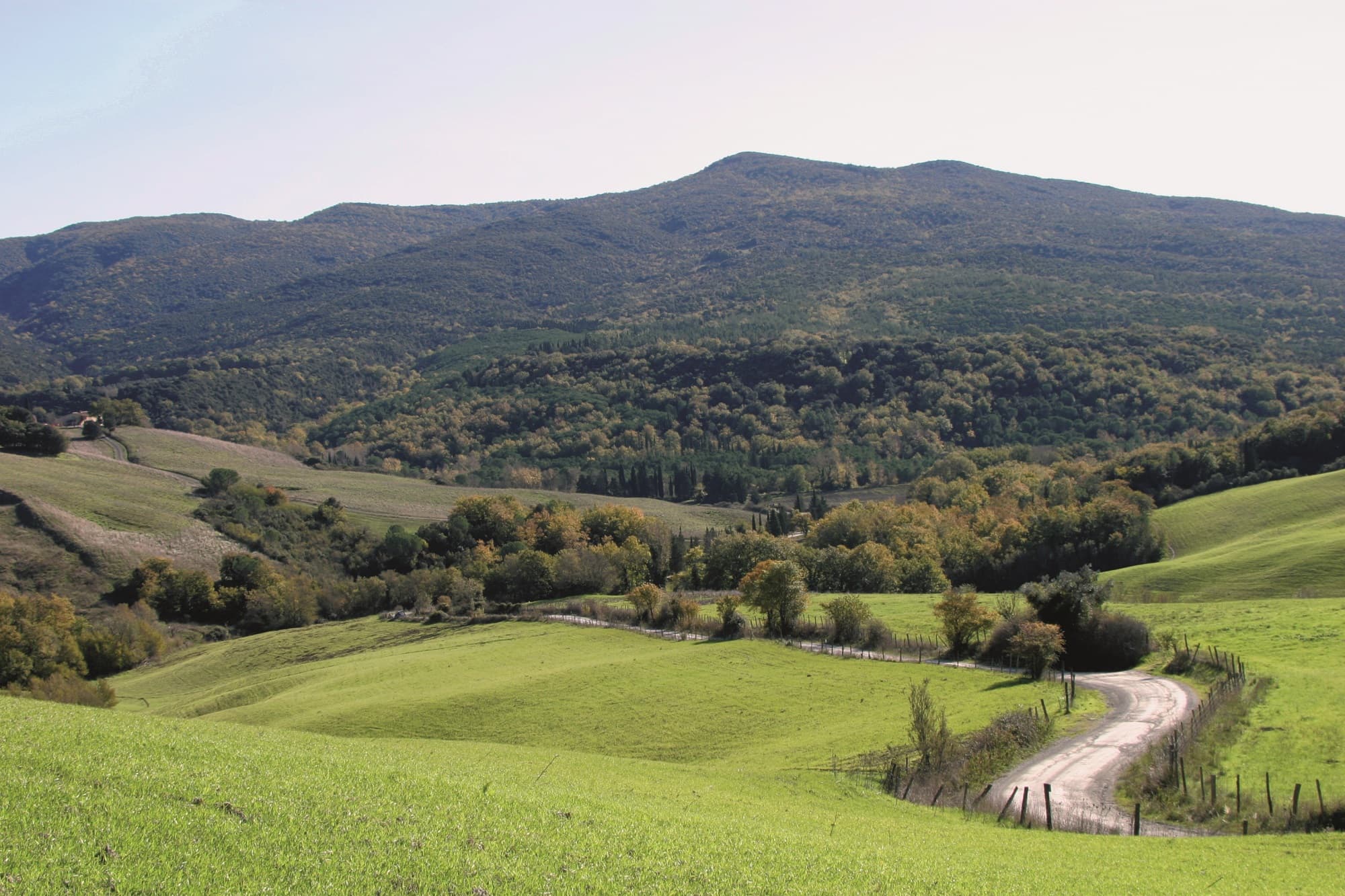 Riserva Naturale Foresta di Berignone