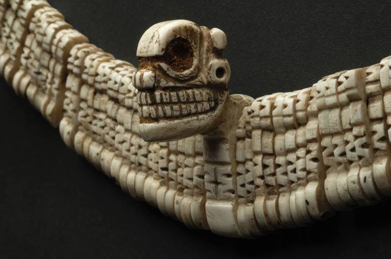 museo-storia-naturale-firenze-sezione-antropologia