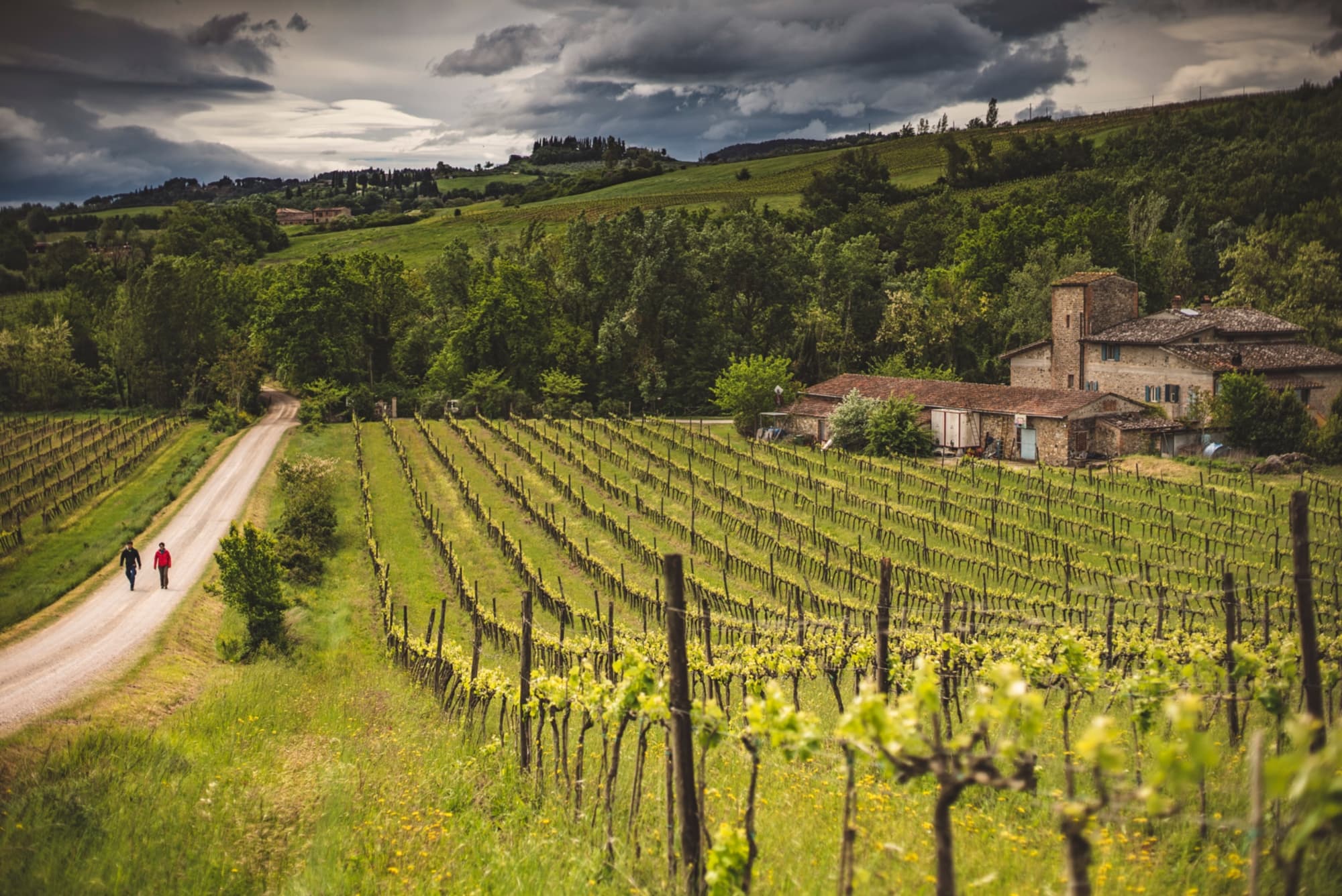 Tres días de excursiones a pie, en la Vía Francigena, desde San Miniato hasta San Gimignano