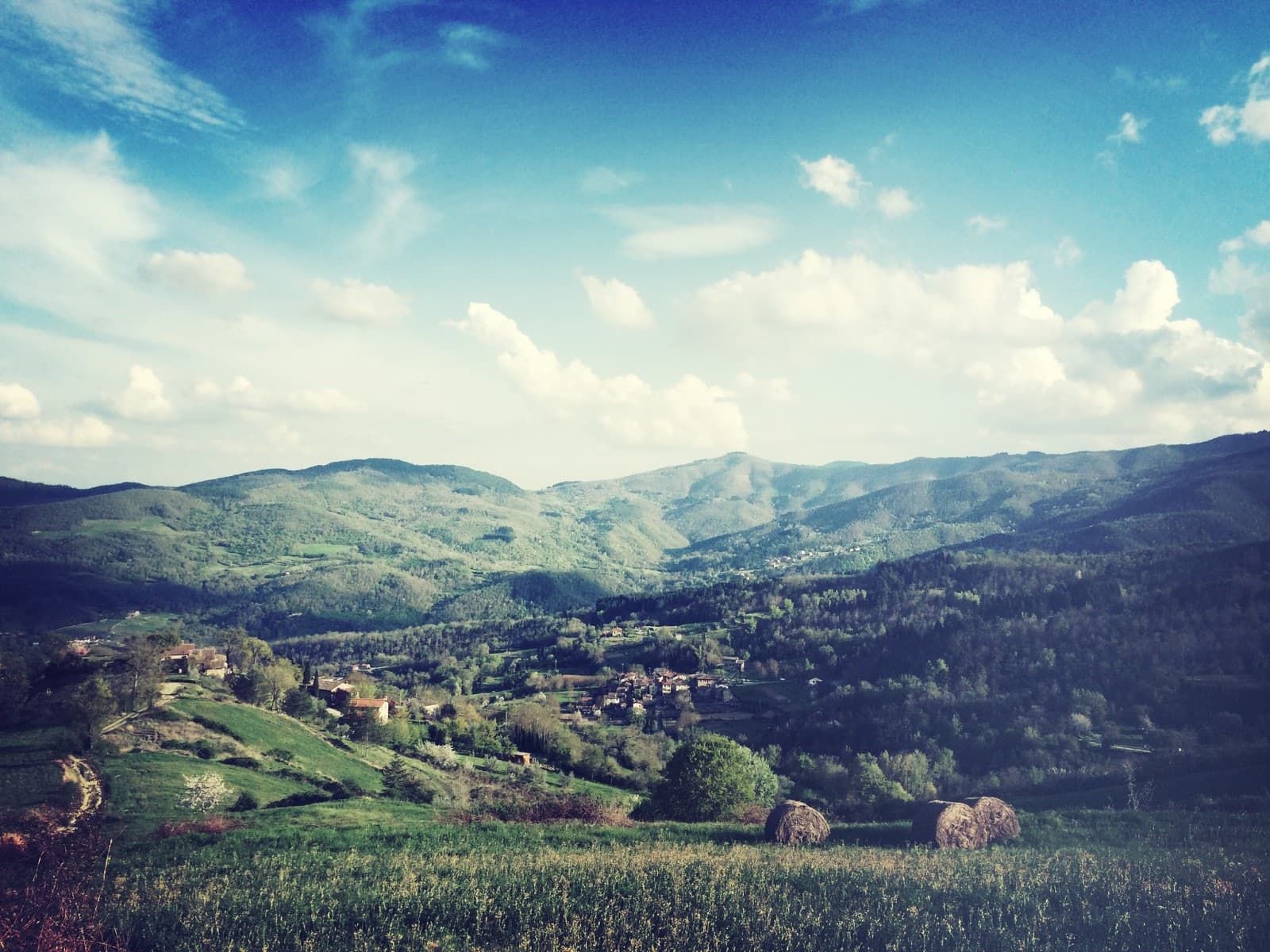 casentino-e1441706534562_wp7_17810.jpg