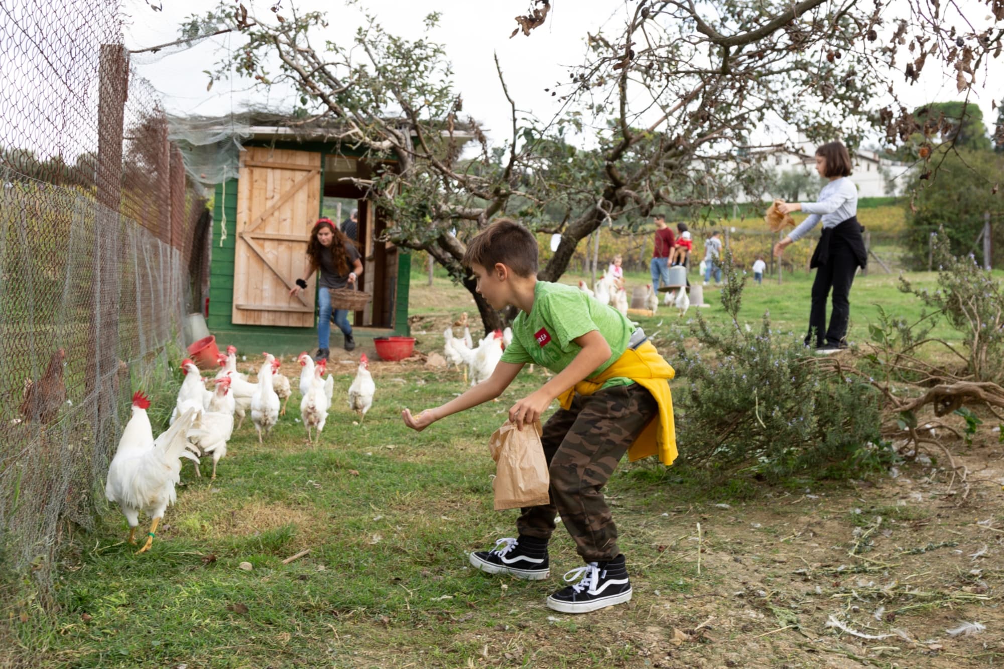 Experience the Farm, feed the animals