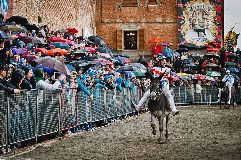 Palio dei Somari