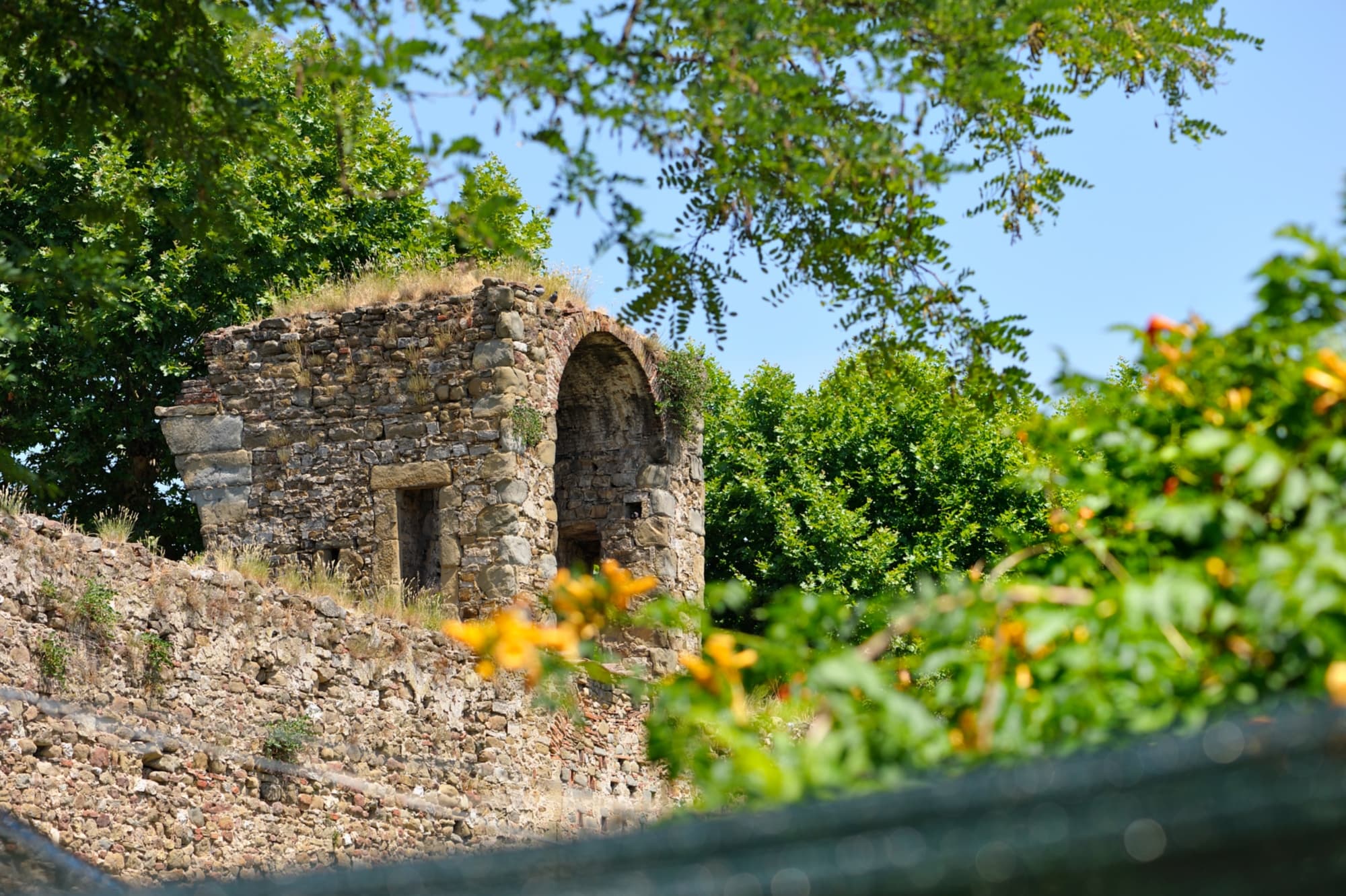 _dsc3966_1Ip