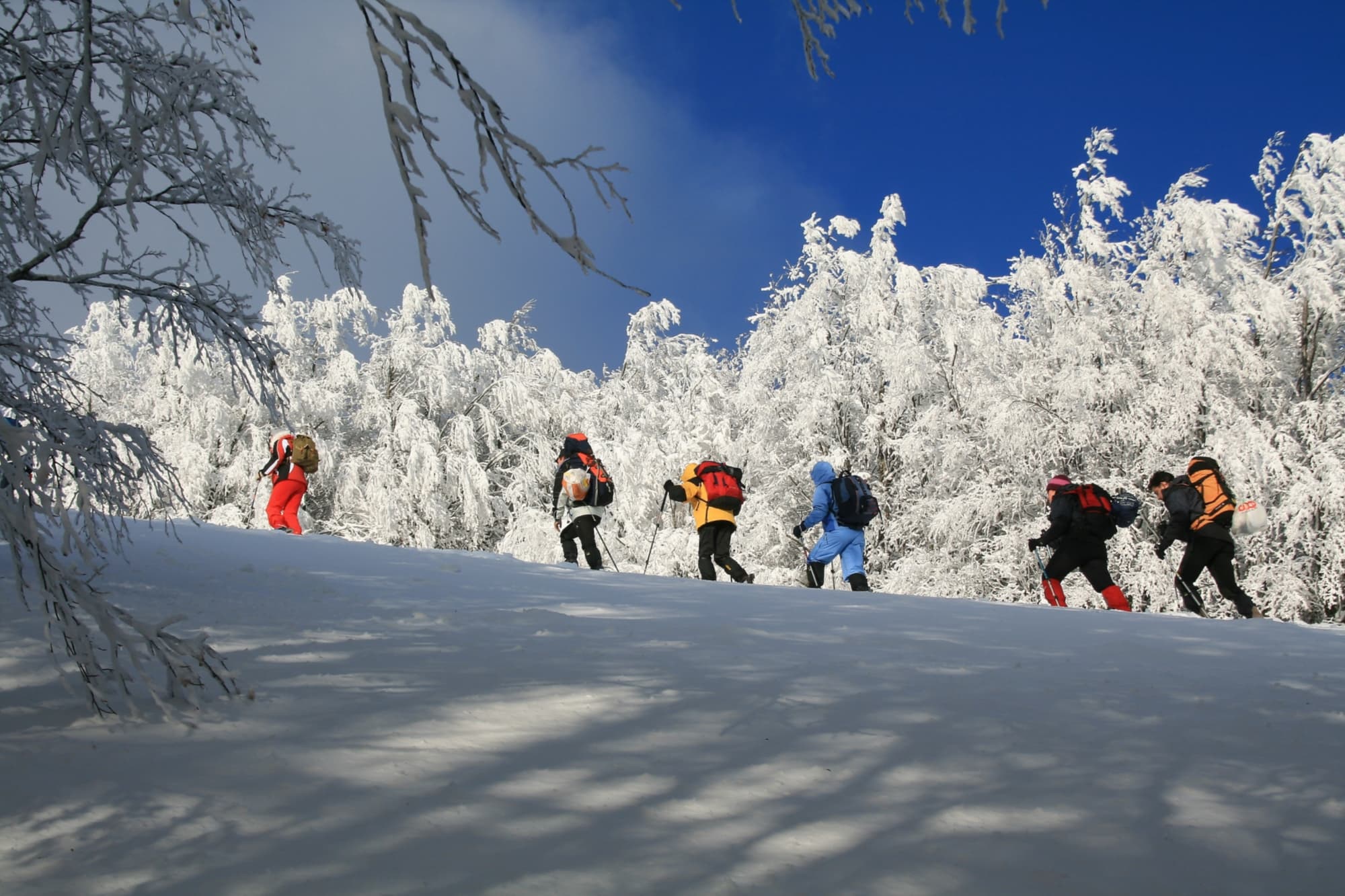 Montagna Pistoiese