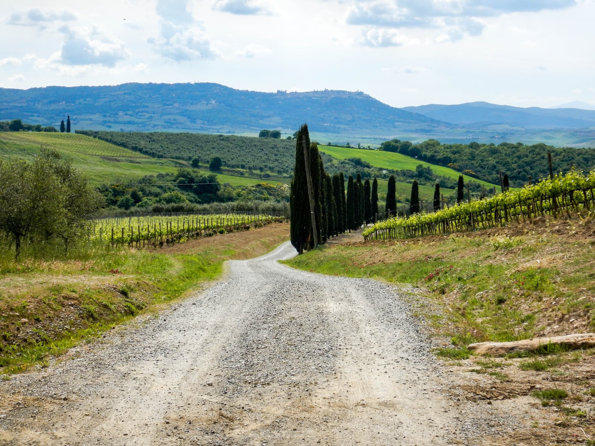 Attraverso i boschi dell’Amiata, immersione nella natura