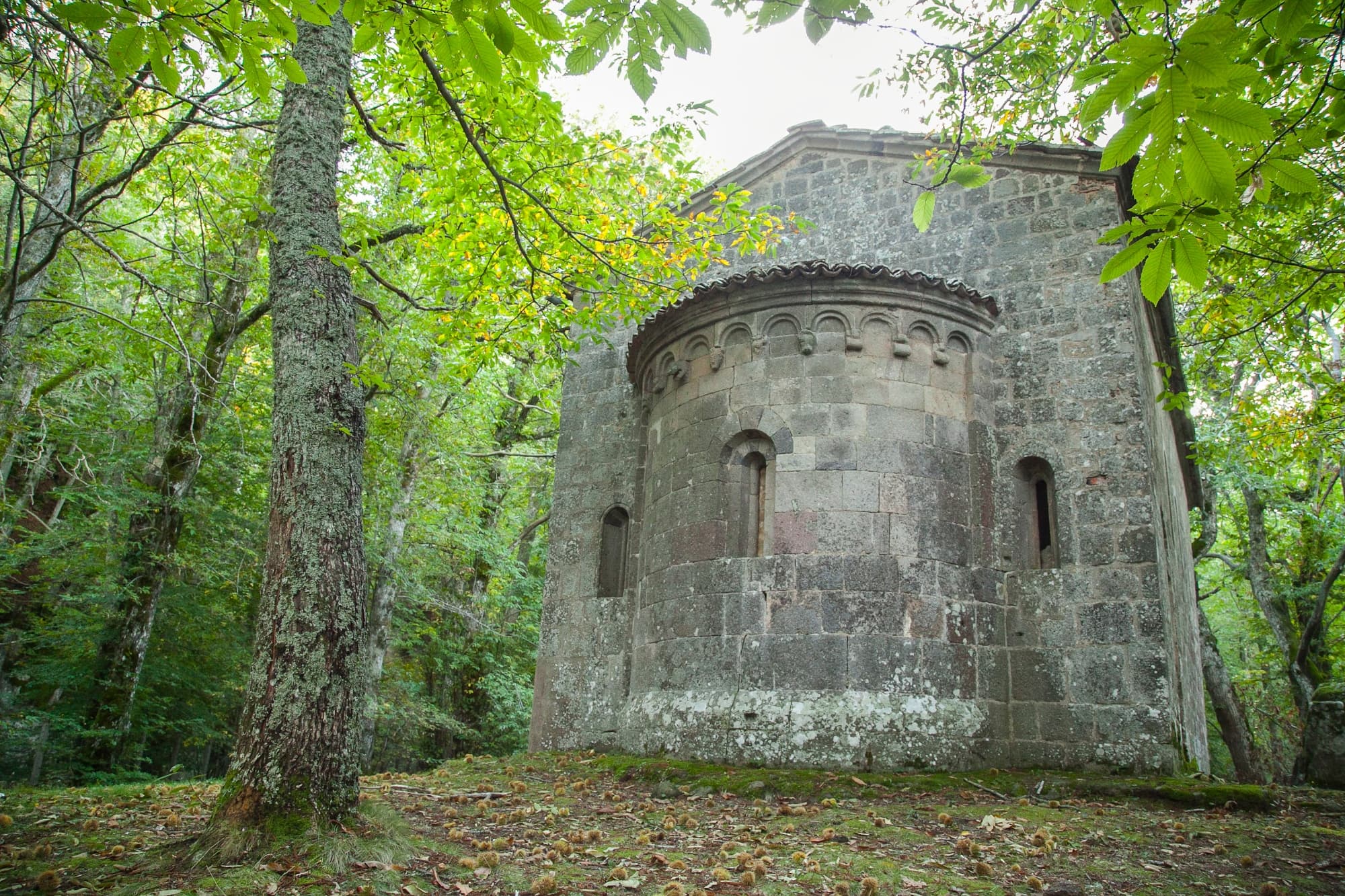 ermicciolo-vivo-orcia-monte-amiata-toscana.jpg