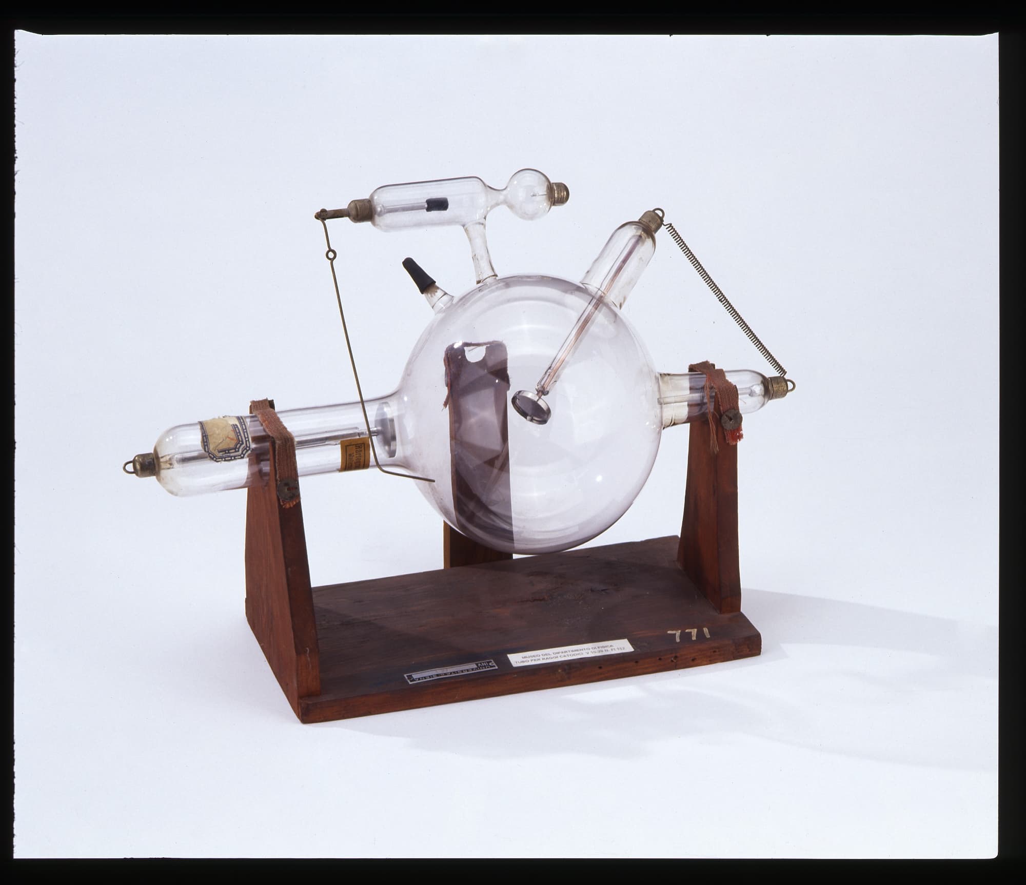 simus-fisica2.jpg