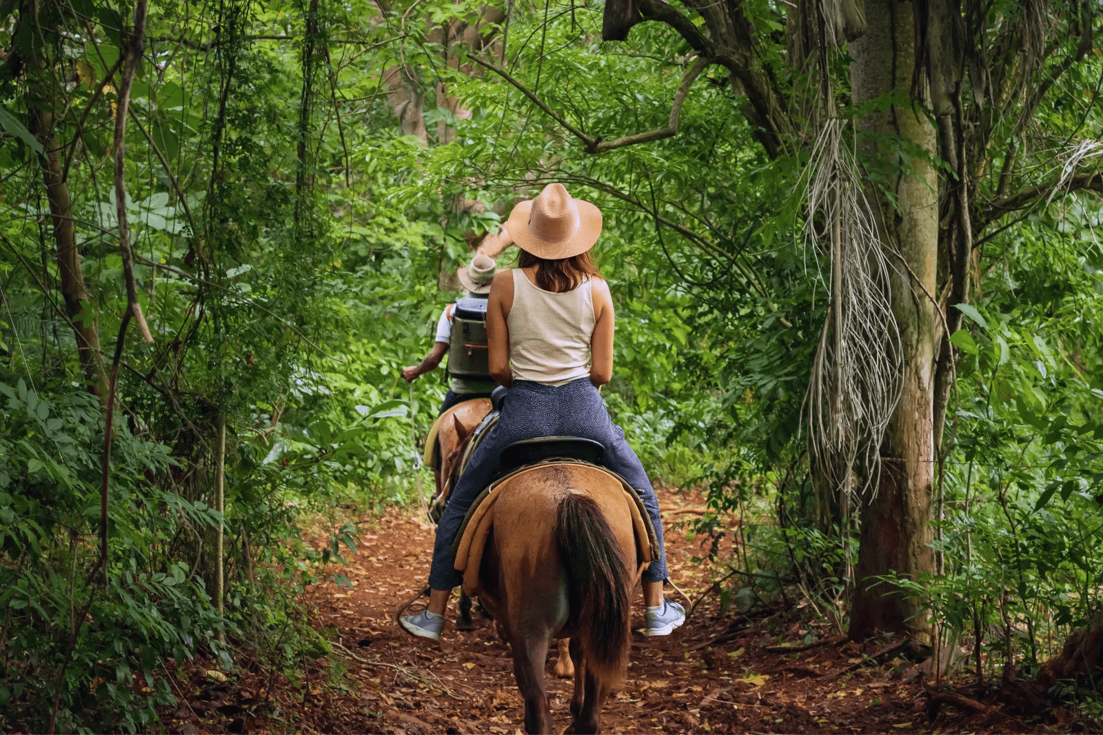 Horseback ride in the Crespignano loop