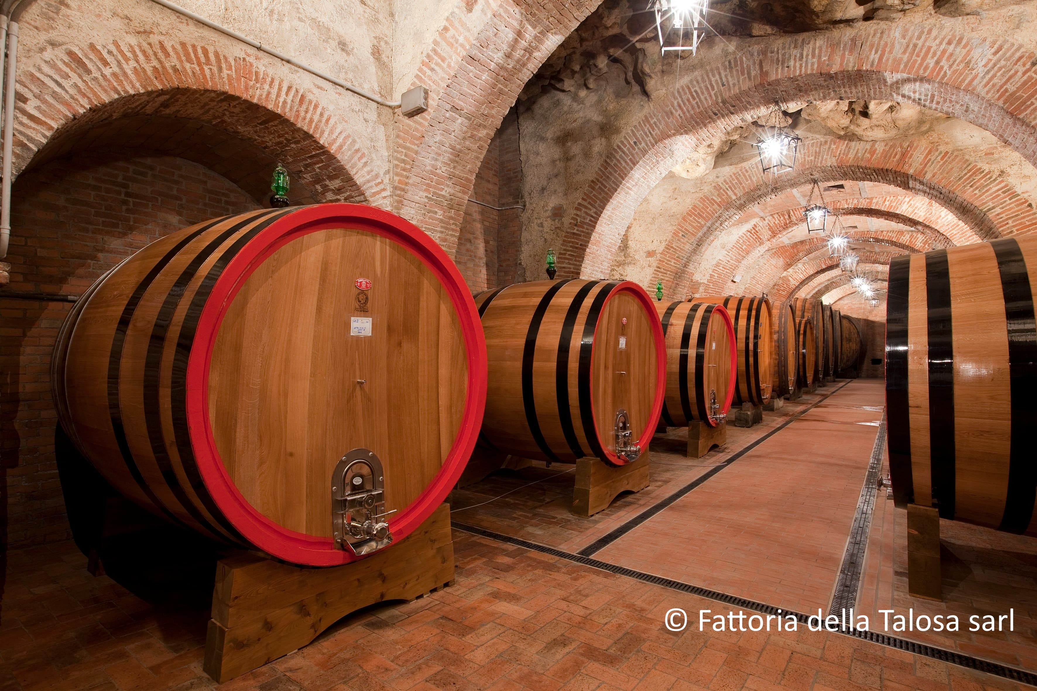 Montepulciano: visita guidata in cantina con degustazione o pranzo