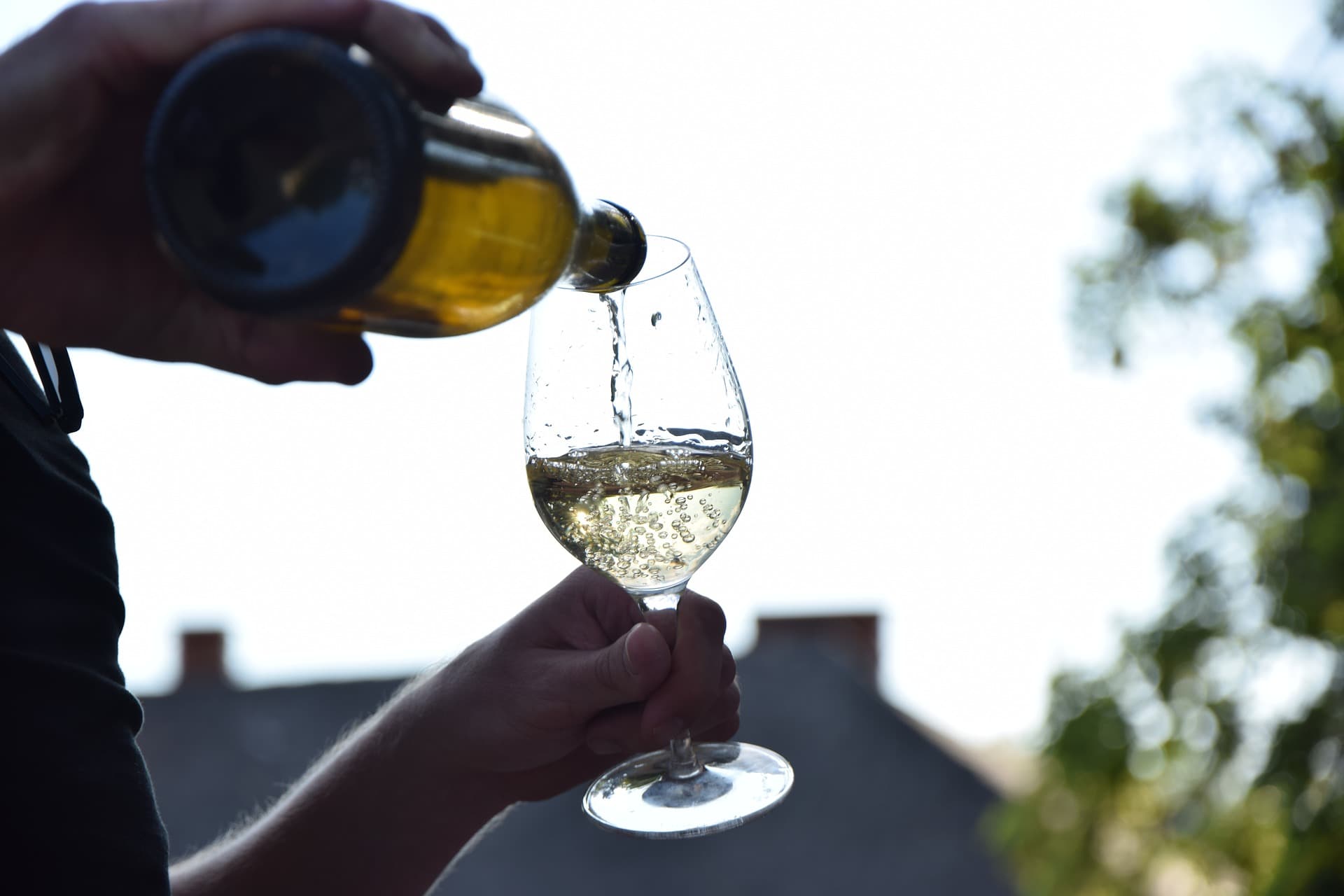 Bicchiere di vino bianco