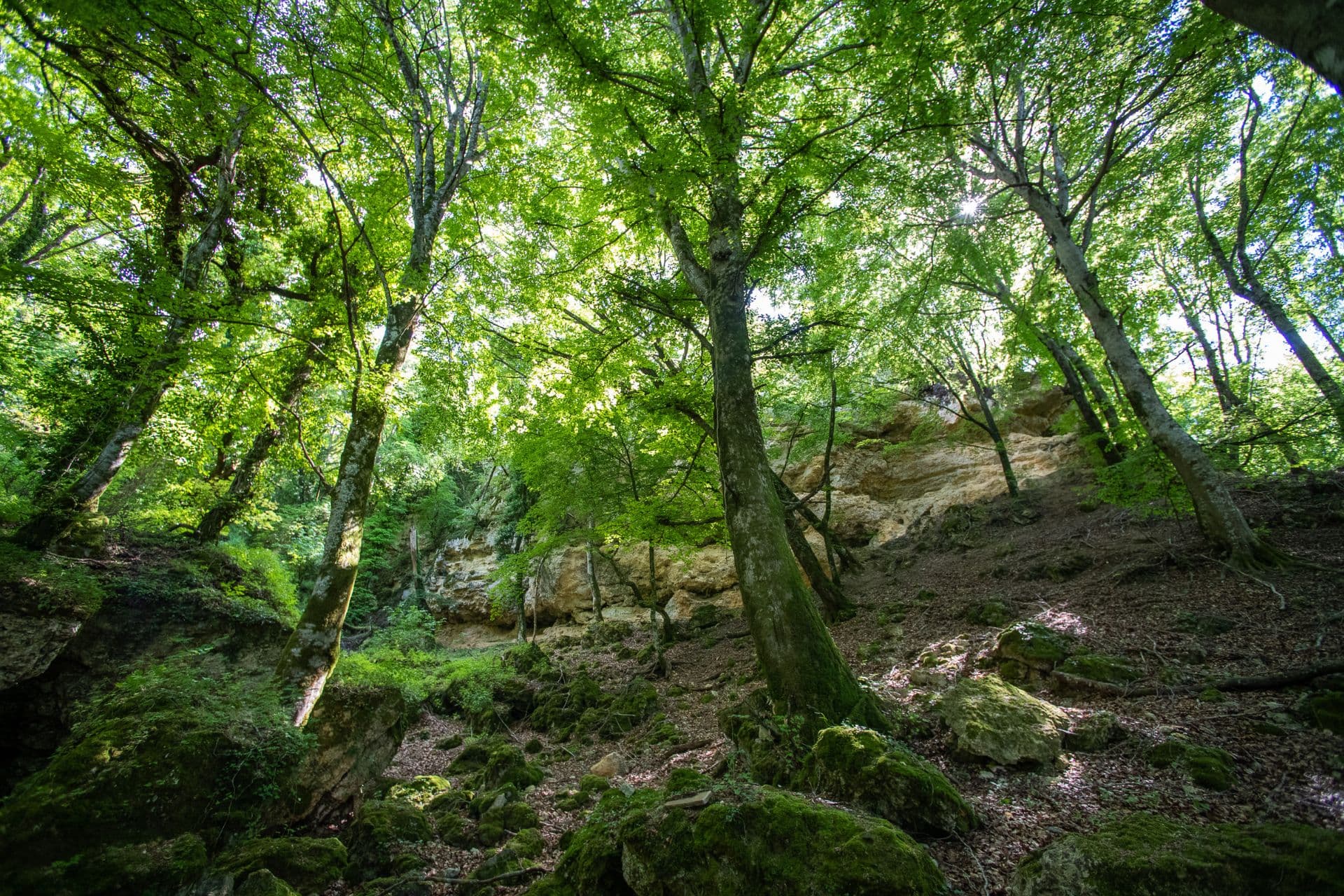 Riserva di Pietraporciana