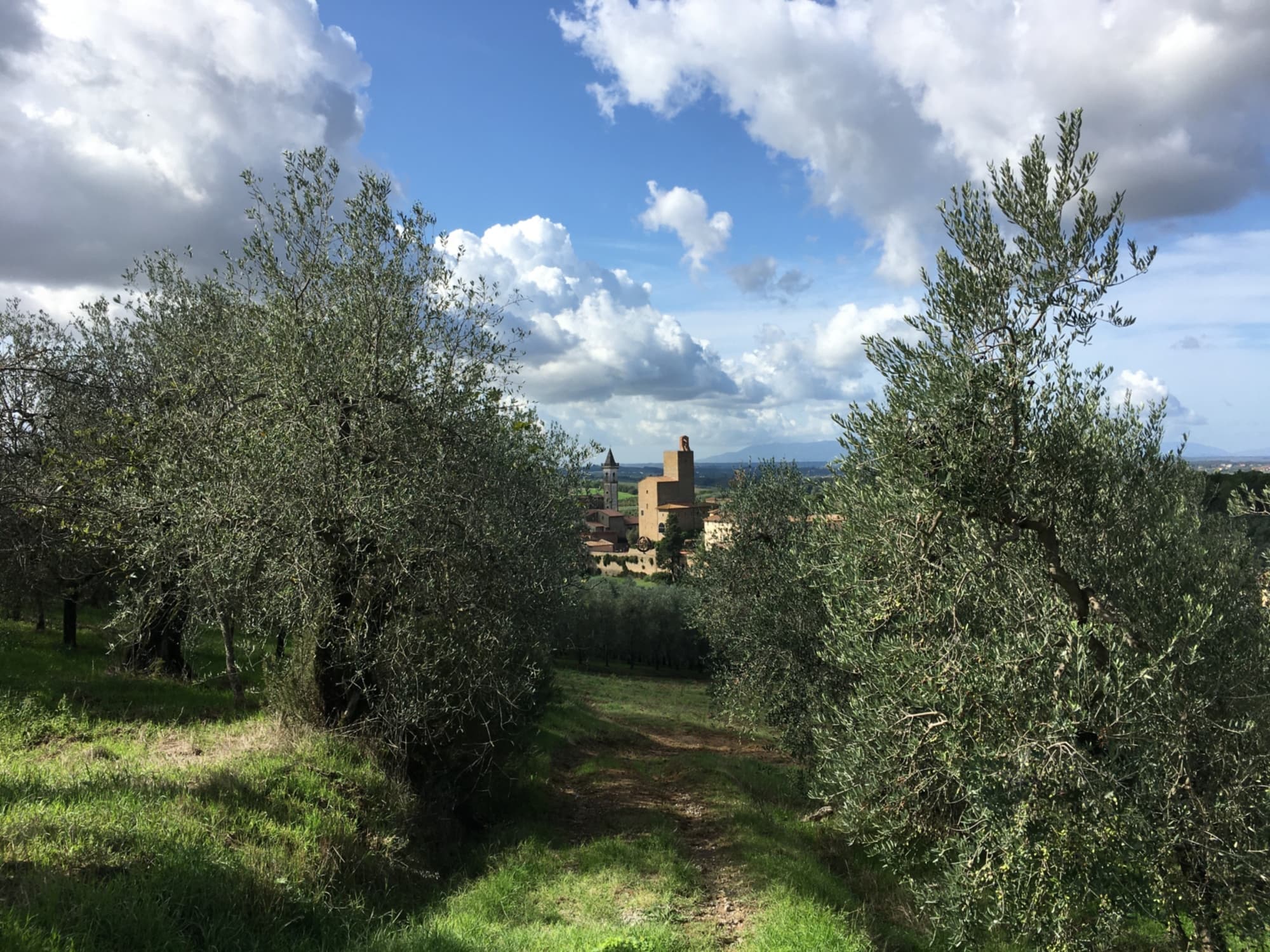 Sentieri del Genio a Vinci