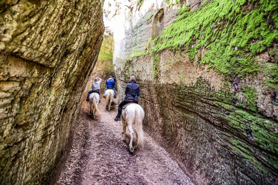 Alla scoperta delle Vie Cave a cavallo