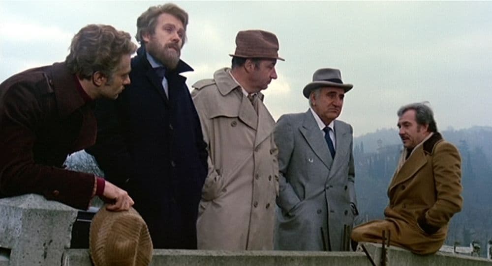 Amici miei
