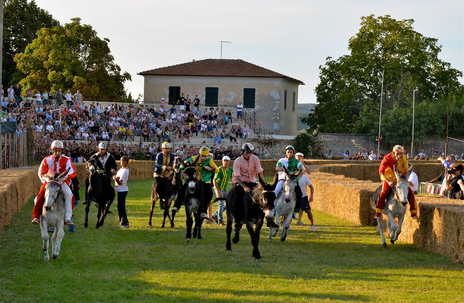 7 fantini in costumi colorati cavalcano piccoli asini all’interno di un anello delimitato da balle di fieno, presso lo Stadio Marconi in occasione del Palio dei Ciuchi