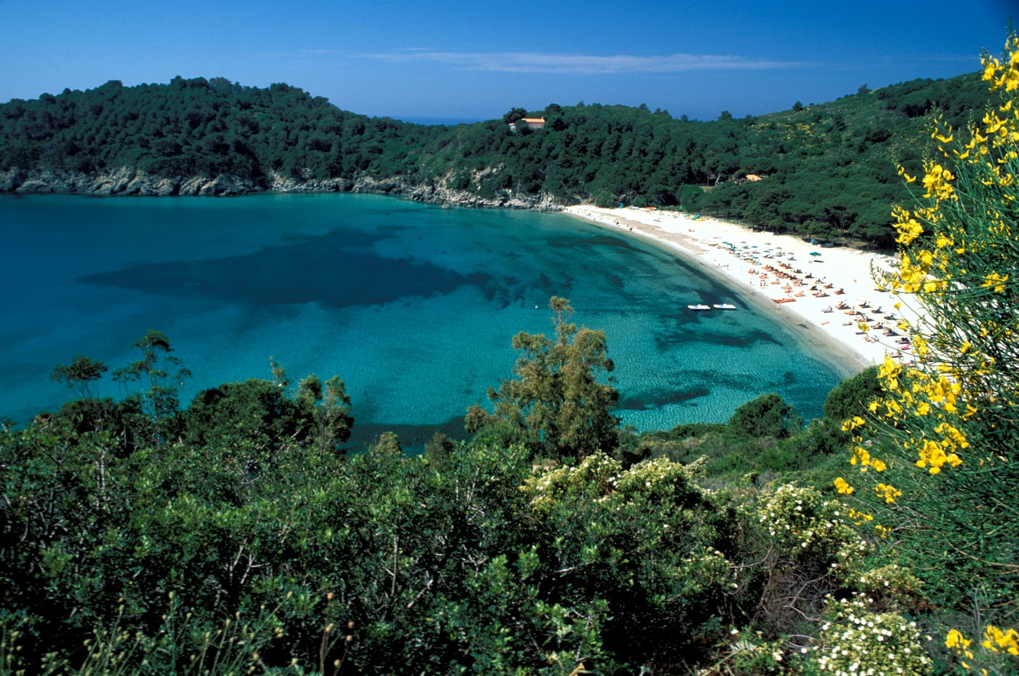 Der Strand Fetovaia auf der Insel Elba