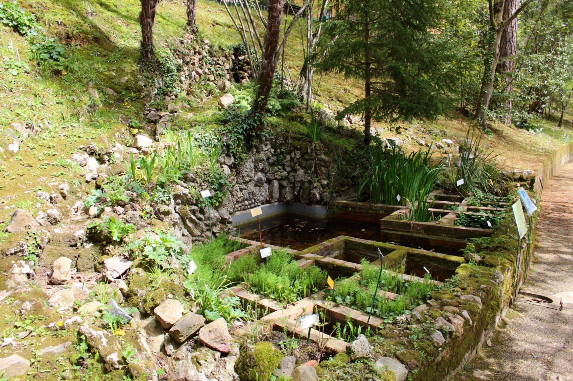 Jardin botanique de l'Université de Sienne