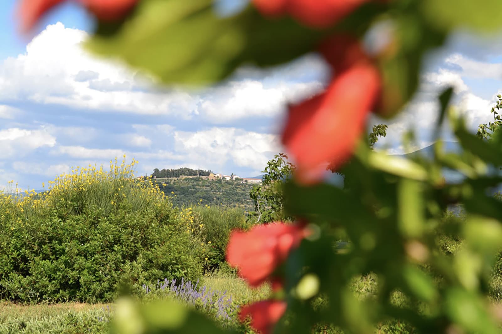 1-montenero-dorcia-castel-del-piano-amiata.jpg