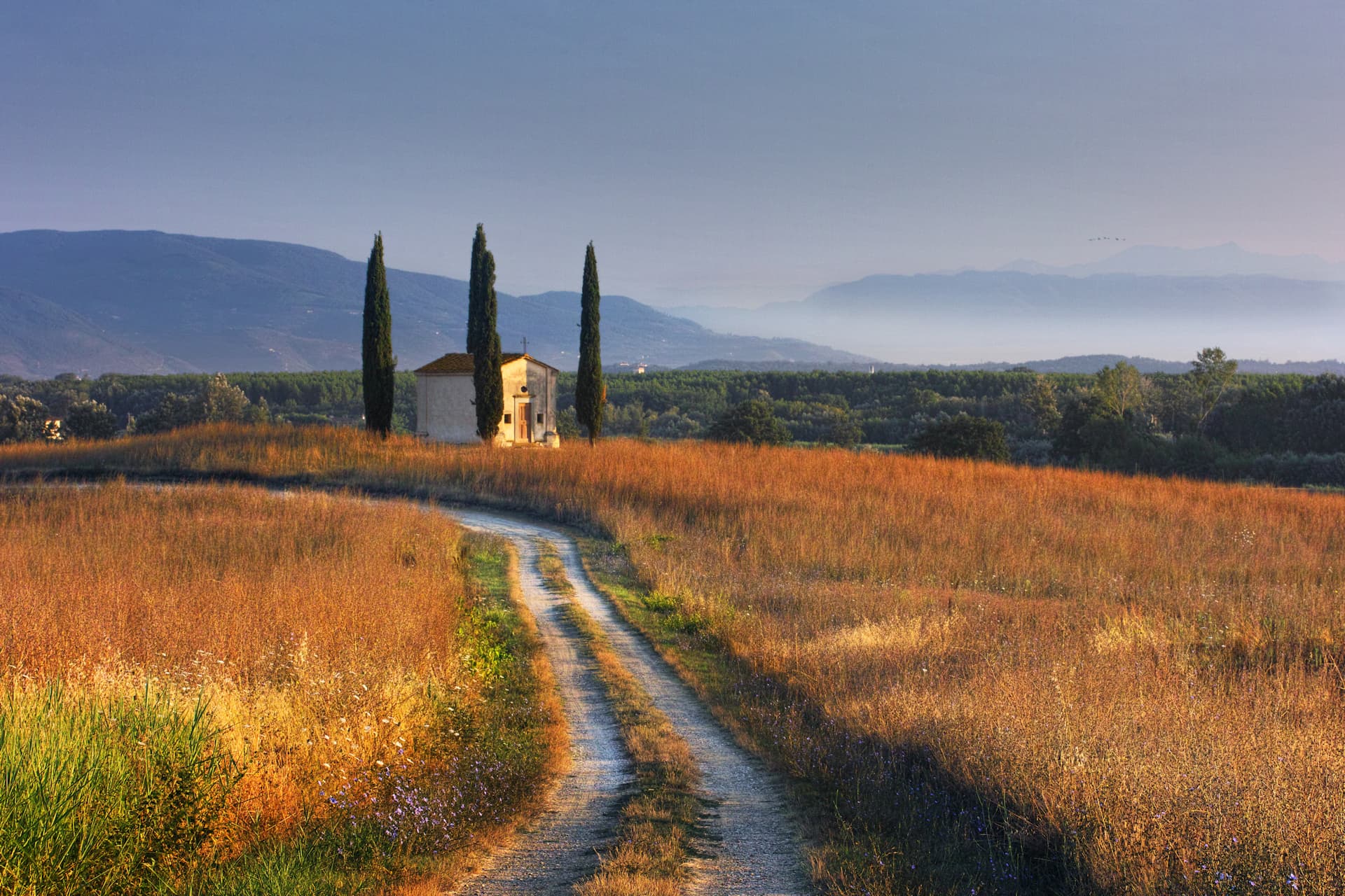 Tenuta di Camugliano | Cappella
