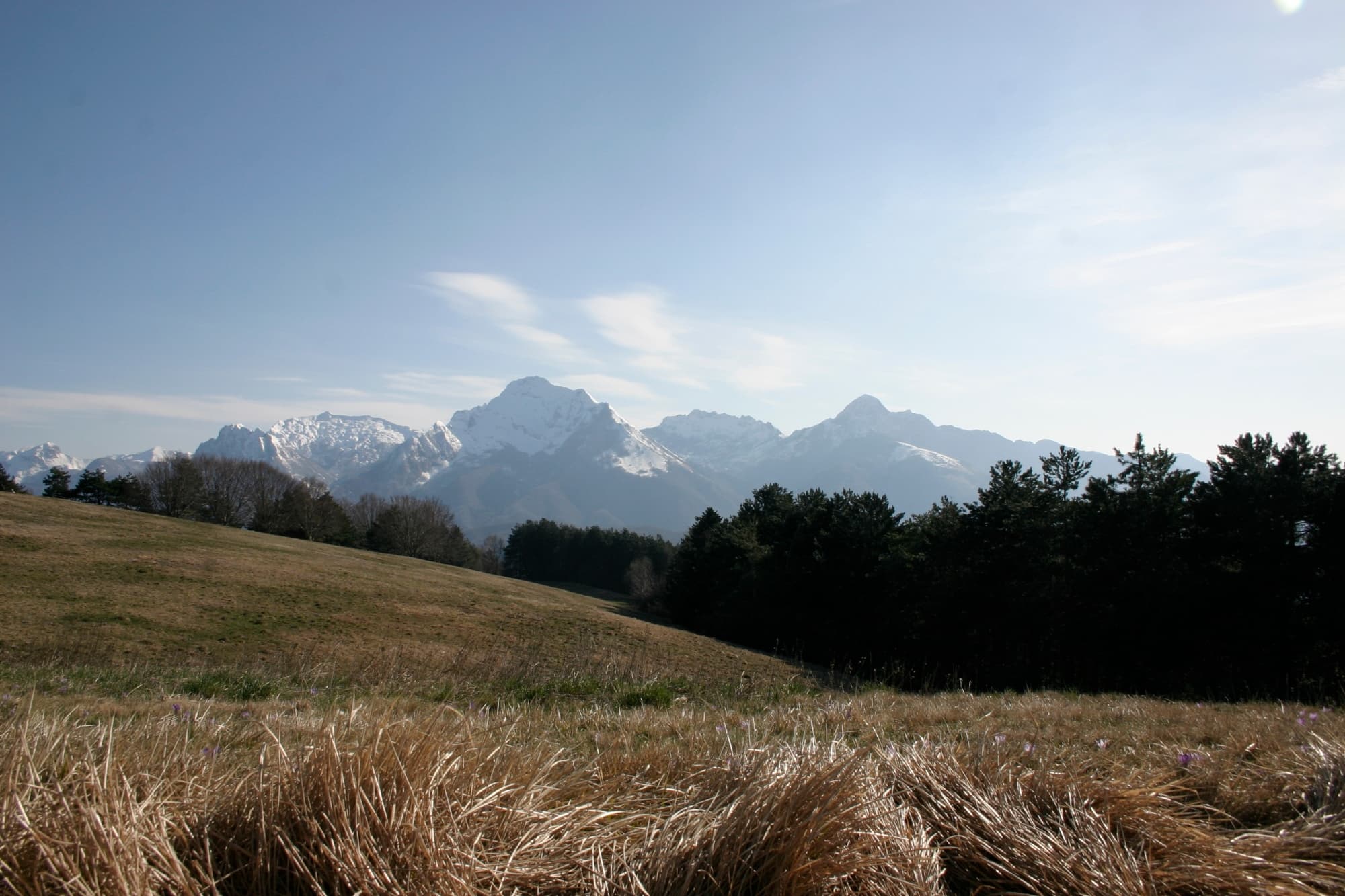 apuane-carpinelli