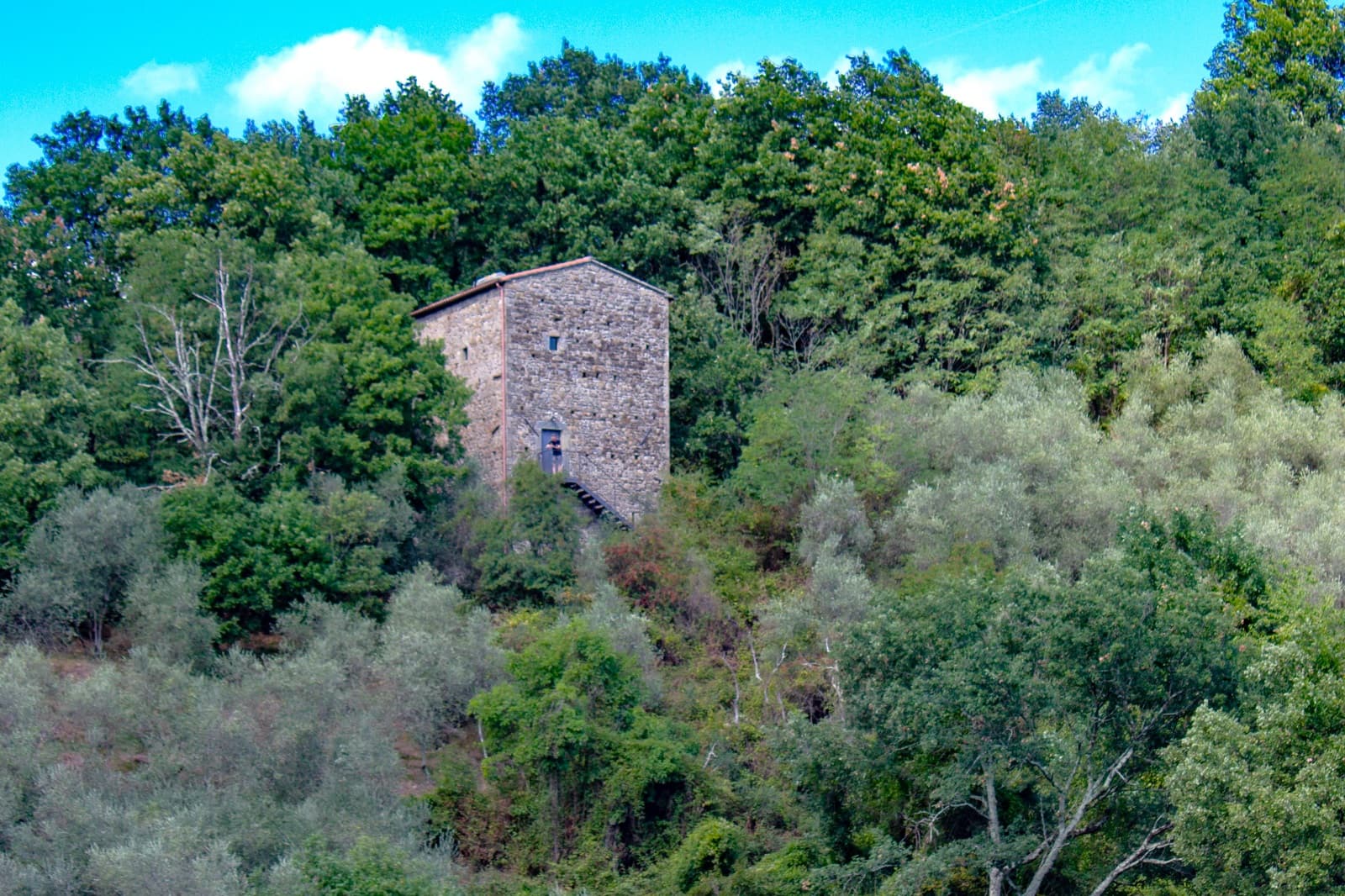 Maisons-tour de Canale