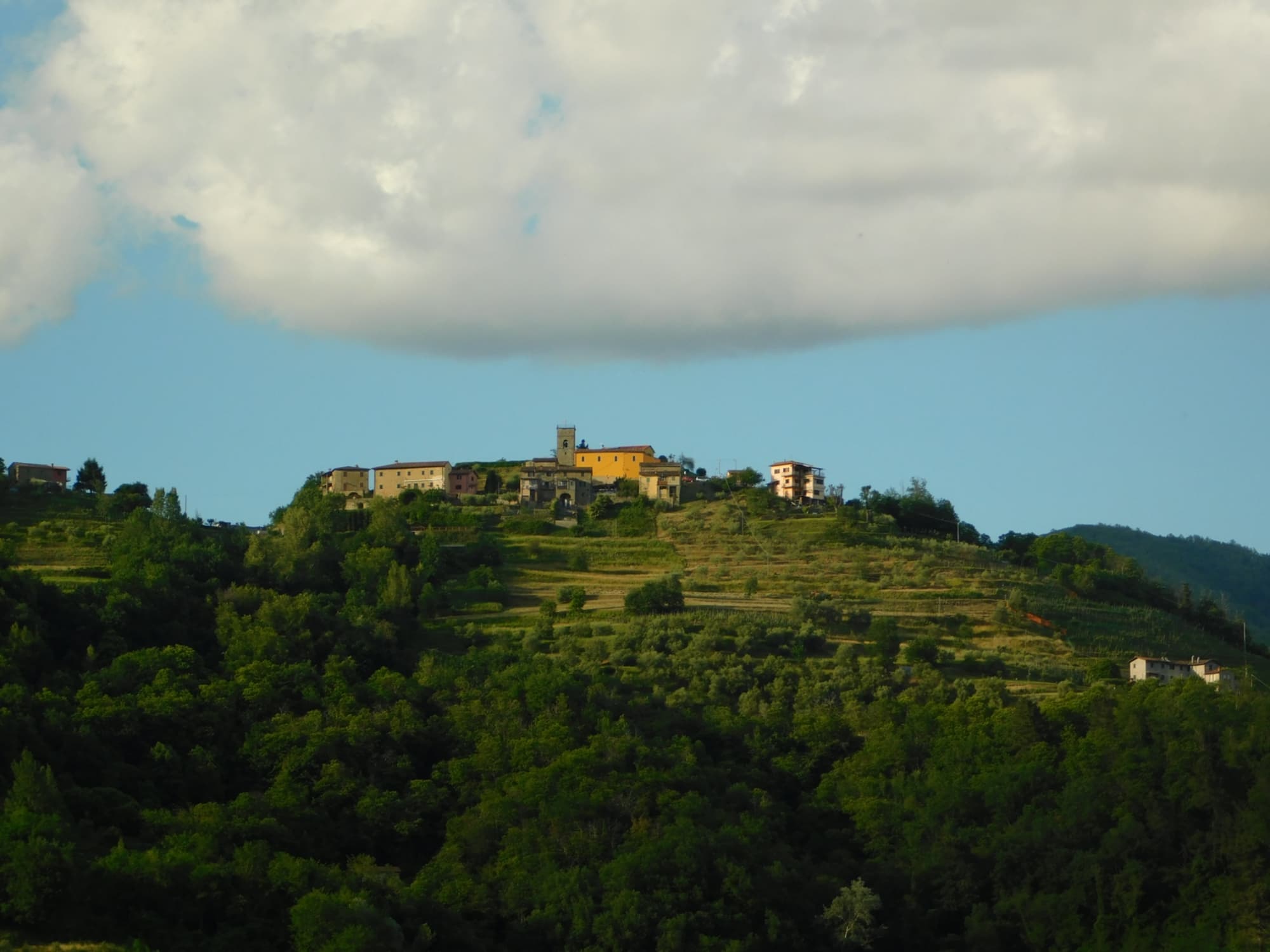 Perpoli