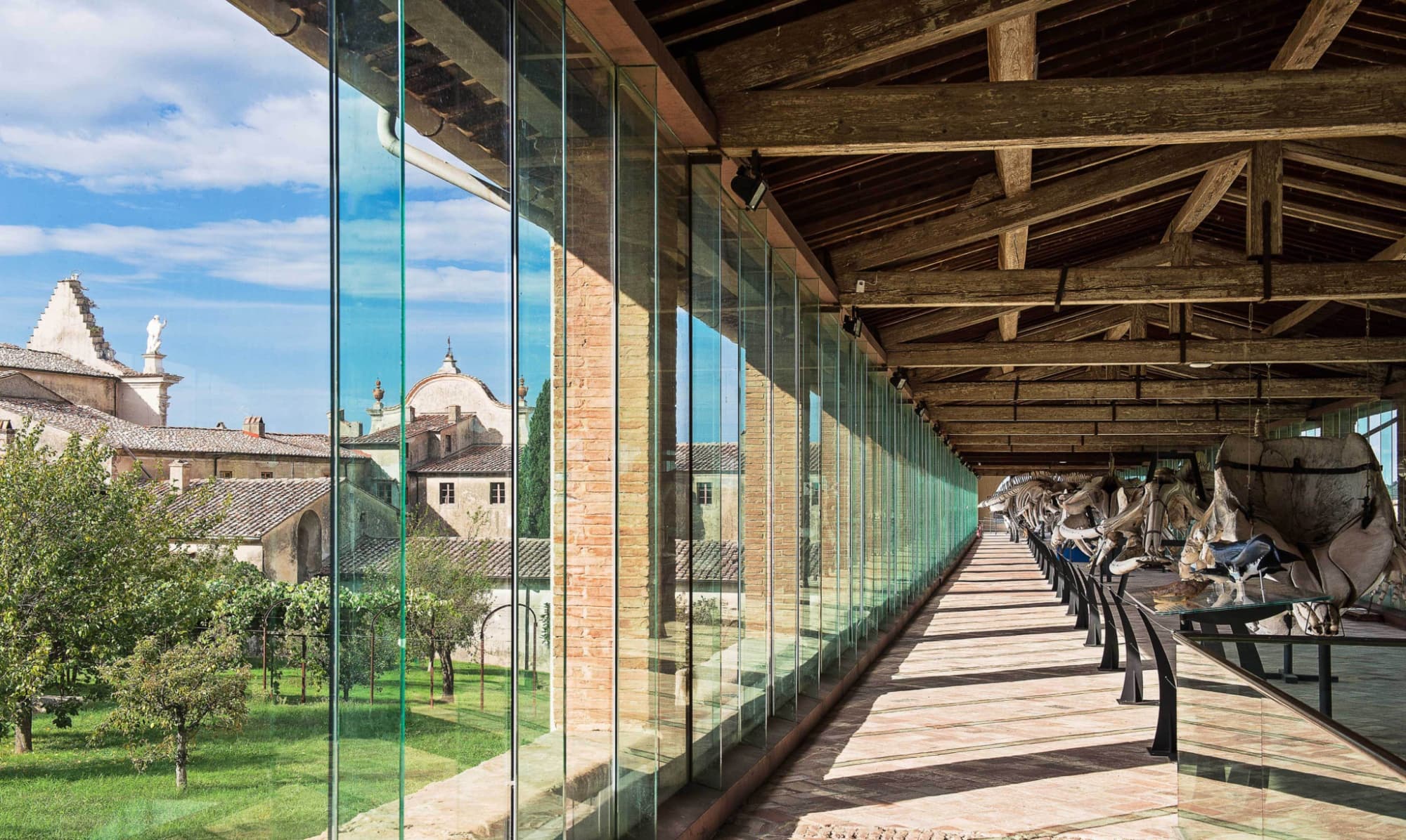 museo-storia-naturale-università-pisa-calci